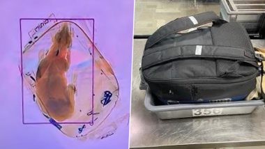 Living Dog Found Inside Passenger's Bag By Airport X-Ray Security Machine! Twitterati Says The Animal is 'Not An Item'